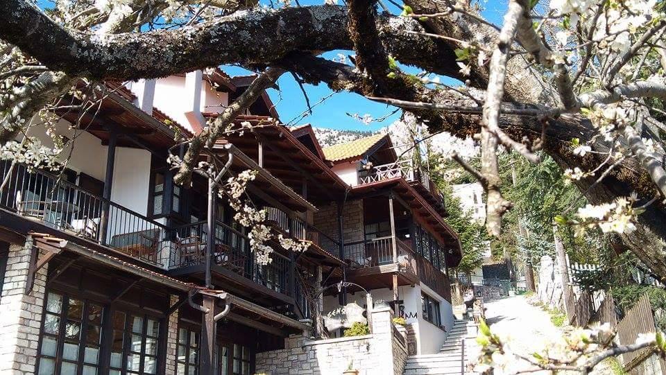 Xenonas Brizi Hotel Eláti Exterior foto