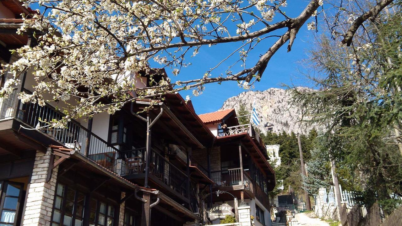 Xenonas Brizi Hotel Eláti Exterior foto